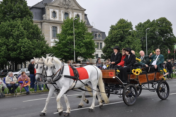 Schuetzen2011   496.jpg